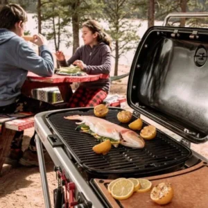 Weber 9010001 Traveler Portable Grill