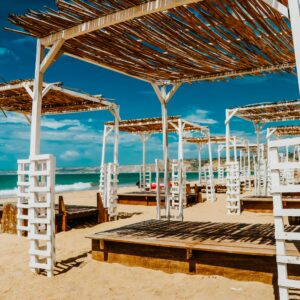 Pexels Macedofotografo 10883350 300x300